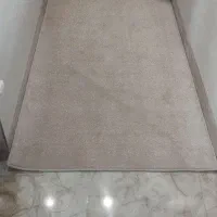 پالاز موکت کاملا نو