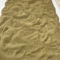 عدس|خوردنی و آشامیدنی|صالح آباد (ایلام), |دیوار