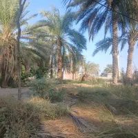 زمین.مسکونی