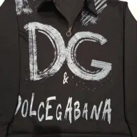 غاز|پرنده|سرپل ذهاب, |دیوار