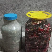 آشپزی با مدیریت خانوم ابراهیمی|خدمات پذیرایی، مراسم|آبیک, |دیوار