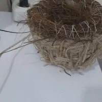 لانه|لوازم جانبی حیوانات|دهلران, |دیوار