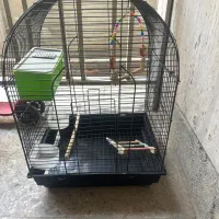 قفس پرنده