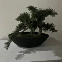 بن سای مصنوعی|گل مصنوعی|اندیشه, اندیشه فاز ۱|دیوار