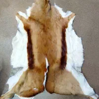 آهو پوست وارداتی درجه یک برش در هر سایزی