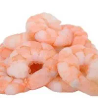 میگو پرورشی با اب دریا /خواجه