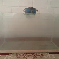 آکواریوم