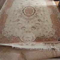 فرش ۱۲ متر ۷۰۰ شانه|فرش|خوی, |دیوار