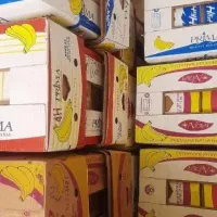 فروش کارتن موزی