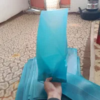 پاکتبزرگریشه|گل و گیاه طبیعی|میاندوآب, |دیوار