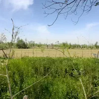 ۳هکتارشالیزار جای بکرروستایی سنگررشت|فروش زمین و ملک کلنگی|سنگر, |دیوار