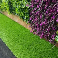 چمن مصنوعی و گرین وال|مصالح و تجهیزات ساختمان|گرگان, |دیوار