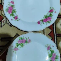 فروش چینی گل سرخ