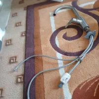 شیر برای،سینگ بزرگ