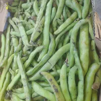 باقالی ۴۵۰۰۰