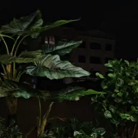 درخت تزئینی مصنوعی وارداتی برای دکوراسیون شیک