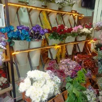 پایه گلدان|کتابخانه، شلف، قفسههای دیواری|نسیمشهر, |دیوار