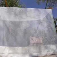 پشه بند|کوهنوردی و کمپینگ|قم, آزادگان|دیوار