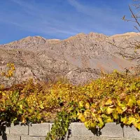 فروش باغچه تفریحی لوکیشن استثنایی