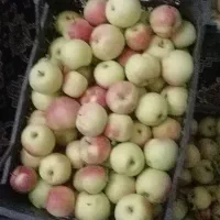باغ-اندرخ-ملک-شخصی-مجموعه-باغات-فجر