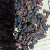 کشمش مویض کیلویی ۳۰۰ تومان|خوردنی و آشامیدنی|ساوه, |دیوار