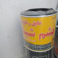 ایزوگام