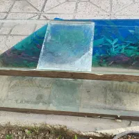 آکواریوم ماهی