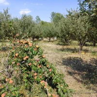 سرمایه‌گذاری