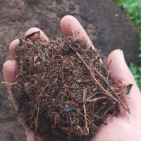 ضایعات چای برای گلخانه گل و گیاه و باغچه