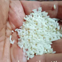 برنج هاشمی آستانه اشرفیه عطری ولاشه|خوردنی و آشامیدنی|قزوین, |دیوار