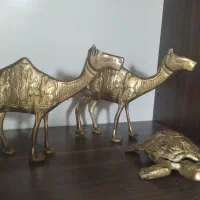 لاک پشت شتر برنجکی|مجسمه، تندیس، ماکت|بروجرد, |دیوار