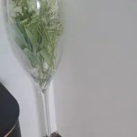 طرح برگ برنج اصل هند تنگ بزرگ  بامبو با گلدون|ظروف سرو و پذیرایی|پردیس, فاز ۱۱|دیوار