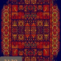 فرش قشقایی (گل رز)|فرش|شیراز, کیان آباد|دیوار