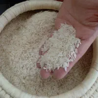 برنج هاشمی تا لش درجه یک و نمونه شمال ازخود کشاورز