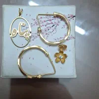 گوشواره پلاک سالم