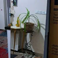 آینه قدی ساده