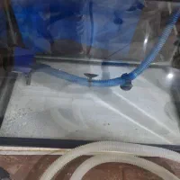 آکواریوم|ماهی|تهران, سردارجنگل|دیوار