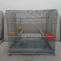 قفس سهره|لوازم جانبی حیوانات|تاکستان, |دیوار