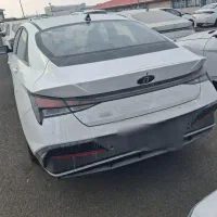 النترا ارس  نیم فول ۲۰۲۵ پلاک شده خشک