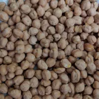 نخوددرجه یک برداشت امسال|خوردنی و آشامیدنی|بهار, |دیوار