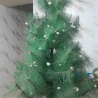 درخت کریسمس