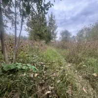 5/800متر زمین مسکونی سند دارکوچصفهان/سنگر/لولمان|فروش زمین و ملک کلنگی|کوچصفهان, |دیوار