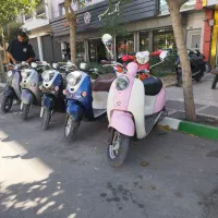 پاکشتی (اقساط)