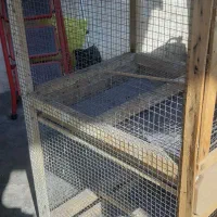 قفس جفت خونه دو طبقه|لوازم جانبی حیوانات|شوشتر, |دیوار