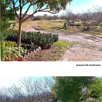 فروش-ویلایی-بر-دوم-ساحل