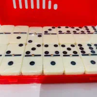 بازی دومینو سرامیکی|اسباب‌‌بازی|تهران, چیتگر جنوبی|دیوار