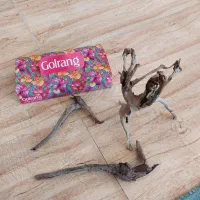 آبنوس|لوازم جانبی حیوانات|رامسر, |دیوار