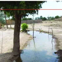 بیست هکتار زمین کشاورزی  پنج میلیارد در فراهان|فروش زمین و ملک کلنگی|فرمهین, |دیوار