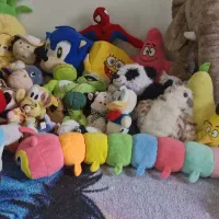 عروسک نو و در حدنو