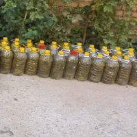 خیارشو فیط دار